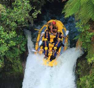 To begin your Skyline Rotorua adventure, take a leisurely uphill Gondola ride and enjoy the extensive