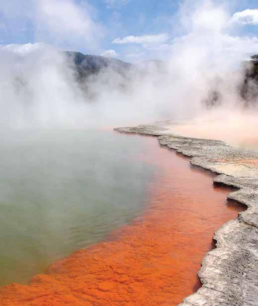 2017 Conference Planner ACTIVITIES 1 Rotorua s Geothermal Landscape Rotorua is part of the Taupo Volcanic Zone, a geothermal field extending from White Island off the Bay of Plenty Coast to Mt