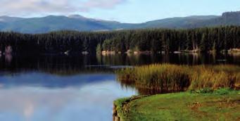 TURANGI (P44) Located at the southern end of the lake, on the banks of the wonderful Tongariro River, Turangi and its surrounding countryside offers fantastic trout fishing, challenging hunting,