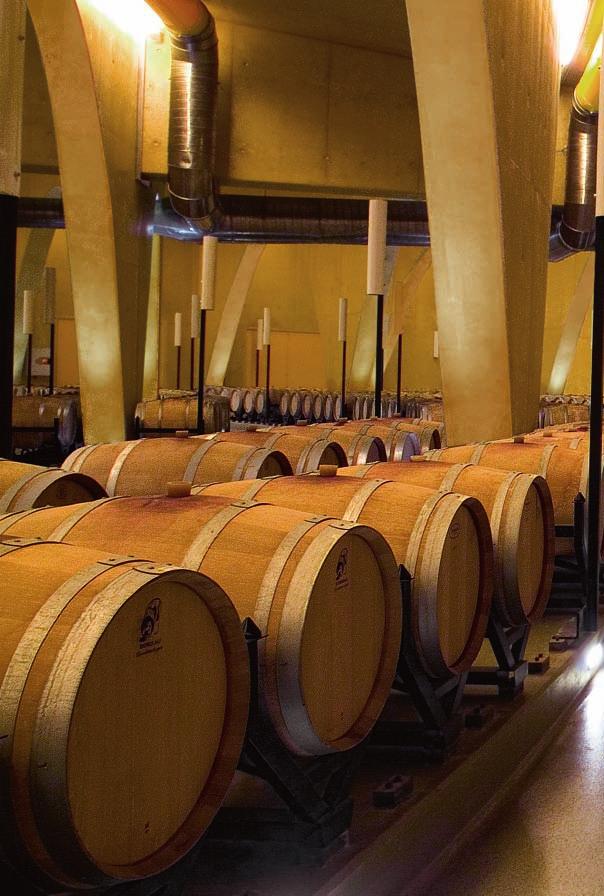 A winery and work of art. A bodega that bewitches the senses.