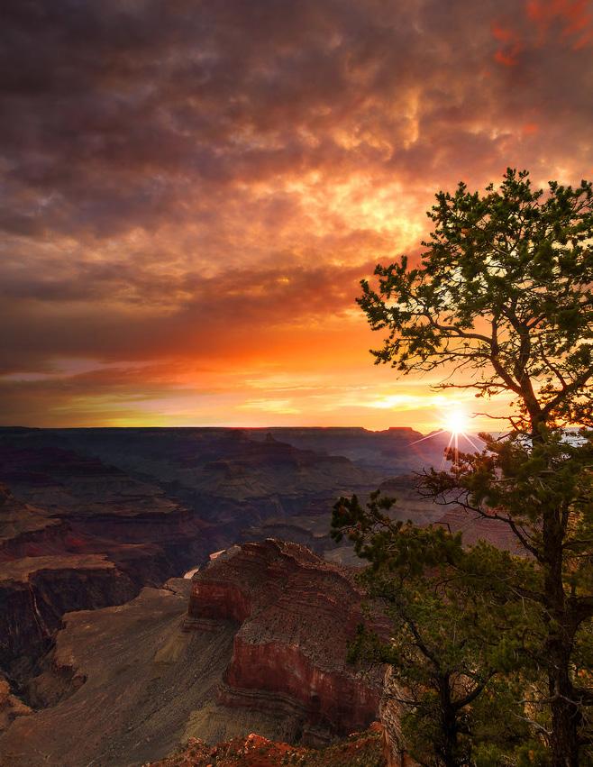 Grand Canyon Tentative Dates: March 3-8 Cost: Approximately $2,000 Group Minimum/Maximum: 12/25 Leader: Mr.