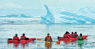 Or sighting the powerful tail of a whale close to the ship. Or experiencing the majestic grandeur of bluewhite glaciers as you glide past in your kayak.