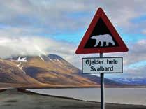 6 days MS NORDSTJERNEN 16 departures: May to September 2018 Thursday Tuesday Experience the midnight sun (until August 23), giving you 24 hours of daylight to discover Svalbard, and an opportunity to