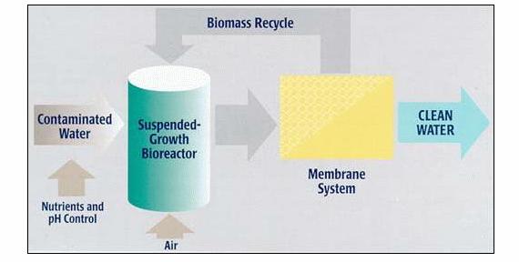 Biomasa za recikliranje Kontaminirana voda Bioreaktor Čista voda Kontrola ph i nutrijenata Membranski sistem Zrak Slika 29.
