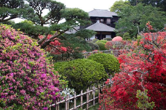 NORTHERN JAPAN GARDEN LOVERS TOUR 15 Day Conducted Tour for $6,875 per person twin share This price includes airport taxes & levies This tour visits many spectacular displays of colourful