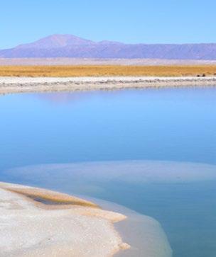 CEJAR LAGOON / ness Level 1 We leave from Noi Casa Atacama by bike, in this trail will give you a new perspective of the surroundings of the Atacama Basin.