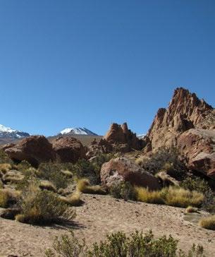 COPA COYA / ness Level 3 An excellent acclimatisation trek for people who want to prepare a high mountain