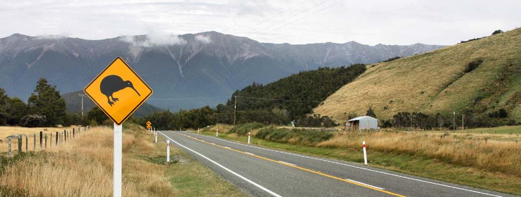 Driving in New Zealand Age Requirements The minimum age to rent a car in New Zealand is usually 21, however some companies will allow drivers aged 20 to rent their cars.