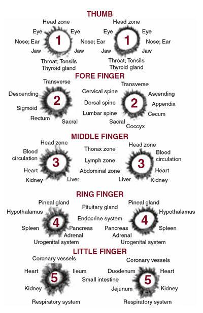 No bit je svega postojanje senzora koji kupe s noktiju ruku i nogu energijsko stanje 120 akupunkturnih točaka, obrađuju i povratno djeluju na organizam: Svaka funkcija i aktivnost tijela izvire iz i