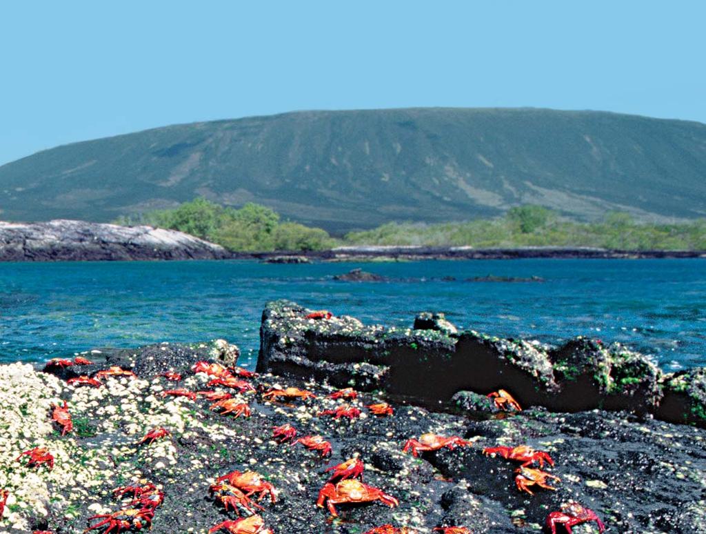 Dear National Trust Traveler: Join us for this incredible, once-in-a-lifetime opportunity to experience firsthand what Charles Darwin keenly observed of the Galápagos Islands: The natural history of