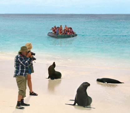 Santa Cruz Island s pristine white beaches, giant prickly pear cactus forests, vibrantly coloured flamingos and prehistoric-looking iguanas make it an ideal