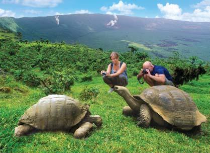 The islands were named galápagos, meaning tortoise, based on Spanish sailors descriptions of their inhabitants in the 16 th century.