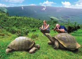 The islands were named galápagos, meaning tortoise, based on Spanish sailors descriptions of their inhabitants in the 16 th century.