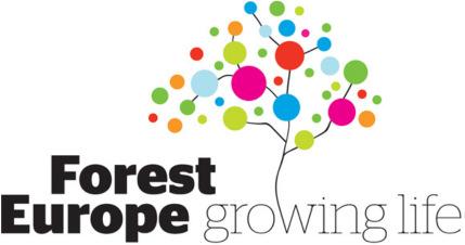 FOREST EUROPE EXPERT LEVEL MEETING for the Preparations of the 7 th Ministerial Conference 20-22 January 2015, Santiago de Compostela, Spain PRACTICAL INFORMATION Bellow you will find information on