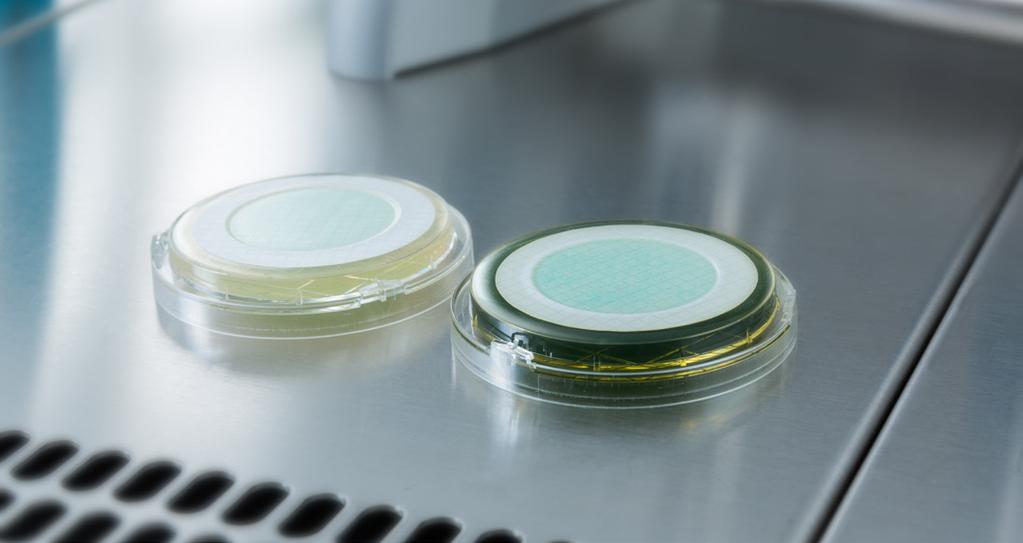 Convenient Media Solutions Ready-to-Use Media for Microbiological Testing of Liquid Samples Small but Mighty Great convenience on a small scale with ReadyPlate 55 plates and the ReadyPlate 55 KIT