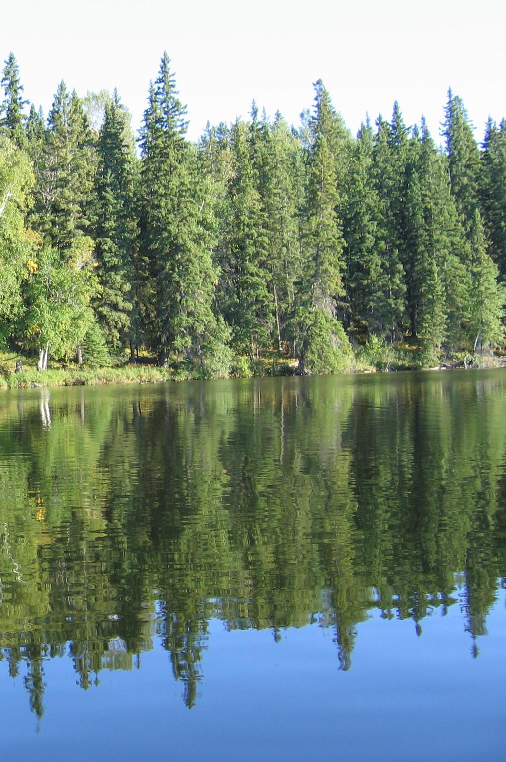 Lakeland Provincial Park Lakeland Backcountry Guide Alberta s provincial parks and recreation areas provide facilities and opportunities for outdoor recreation, protecting ecological processes within