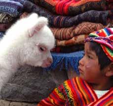 Peru Highlights BOLT Trek Tips 2017 E C U A D O R DEPARTS: LIMA to LIMA BOLT TOUR CODE: SLL TREK INCLUDES Included flights within Peru to see all the highlights in a short space of time Visit Colca