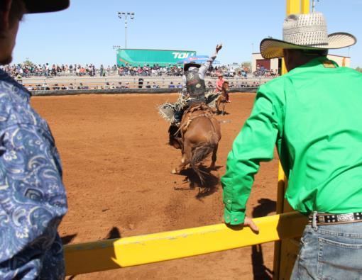 Facility at the Cloncurry Equestrian Centre will provide shade and seating to improve the spectator experience Media