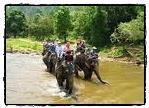 bamboo rafting and oxcart riding.