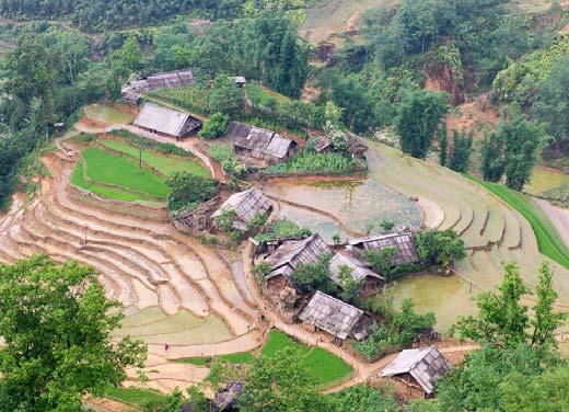 Your guide will take you on a trek to introduce you to the biggest ethnic group in this area, the colorful Black Hmong people, famous for their indo colored cloths and silver necklaces.