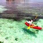 Krabi: Ao Talane (Kayak) A bay of mangroves that well be