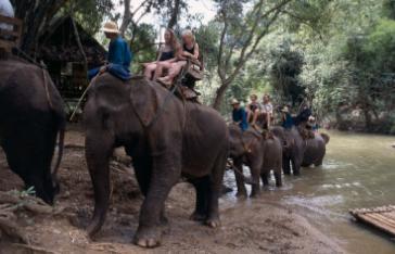Chiang Mai: Mae Taman (Elephant Camp/