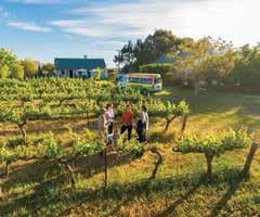 hours Departs: Daily from Adelaide at 9:15am Adult $149 Child 4-14 years $75 Barossa & Hahndorf Highlights Travel to South Australia s premium wine region to sample some of the Barossa s finest wines