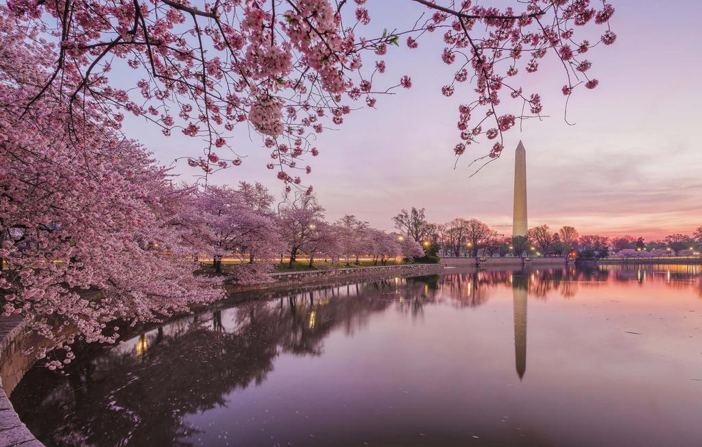 Washington Monument at Cherry Blossom Time Cherry Blossom Time in Our Nation s Capital The Mayflower Way 4 11 Meals (3 dinners, 1 lunch and 7 breakfasts) 4 Round trip airport transfers 4 Spend 6
