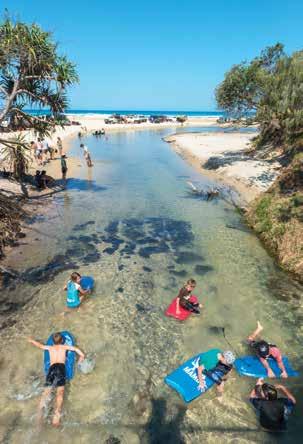 Increase in tourism value Fraser Island Marco Simoni/Ozstock Images Wild nature tourism in Australia is on the increase despite a global shift of tourism from developed to developing countries, but