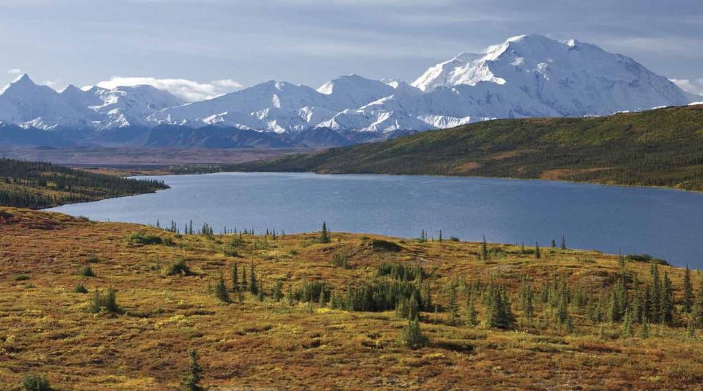Alaska: Enlightenment Reservation Form AUGUST 9 16, 2014 Under the Midnight Sun To reserve a space on this tour, please send your registration form and deposit check for $1000 per person, payable to