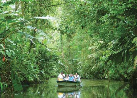 The park and canals are also home to a vast array of other fascinating wildlife, including monkeys, sloths,