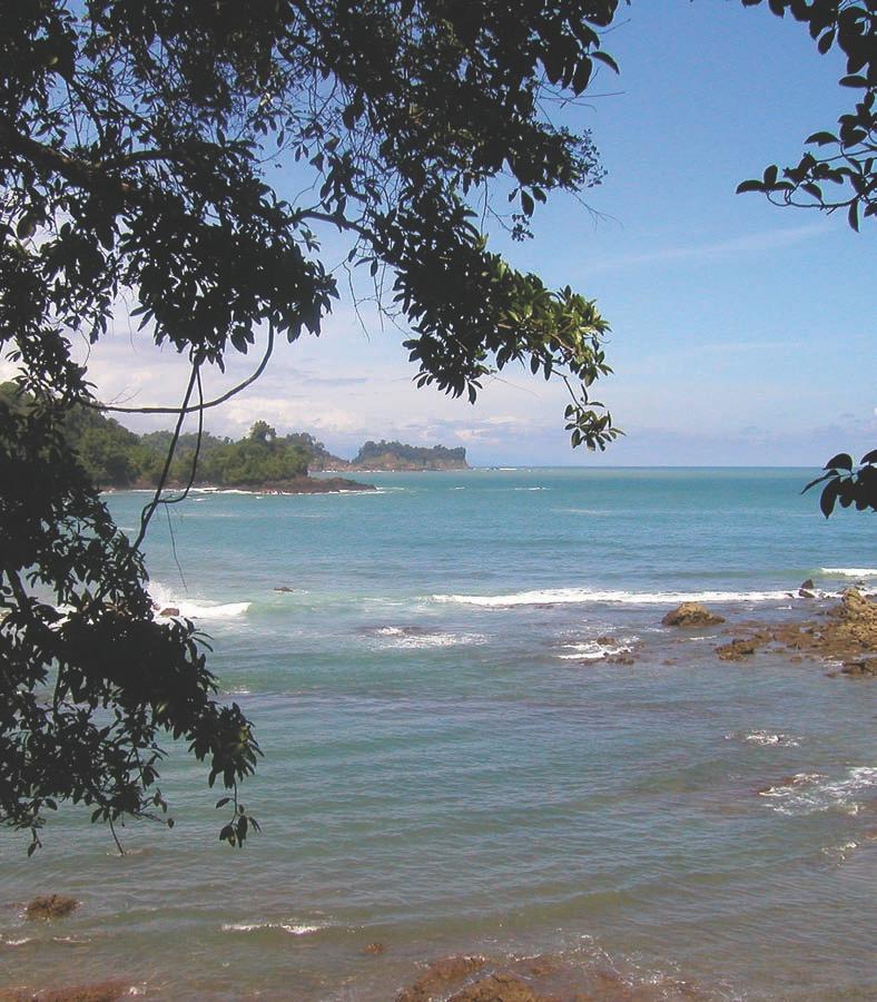 ABOUT QUEPOS / MANUEL ANTONIO Manuel National Park at a Glance In Quepos & Manuel Antonio, visitors will find a wide range of opportunities to experience the pure life of Costa Rica.