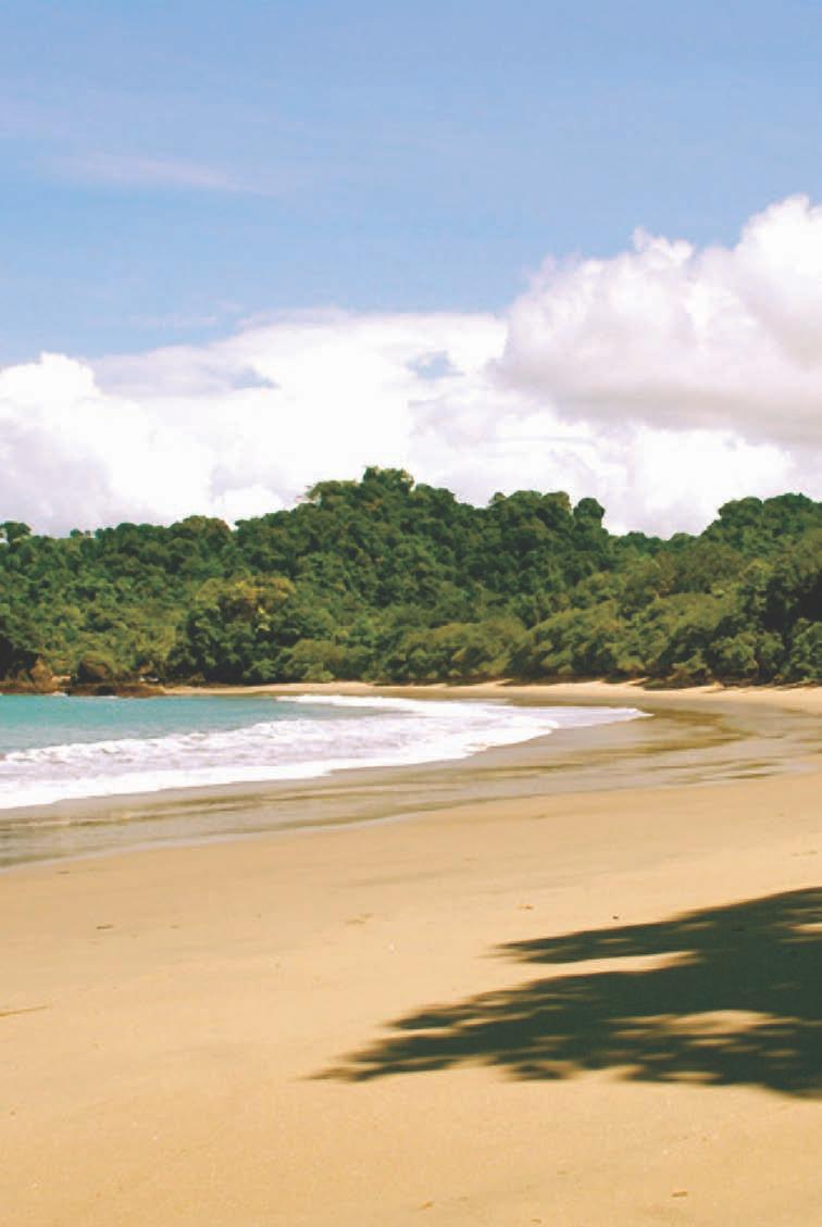 Luxury Rentals Property Management Green Coast Villas specializes in luxury vacation rentals located in Manuel Antonio, Costa Rica.