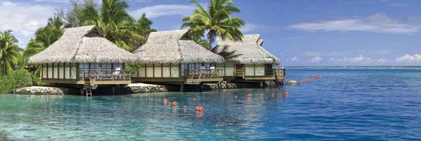 MOOREA An island of spectacular bays, calm lagoons with white sand beaches to relax on makes for a fabulous holiday destination.