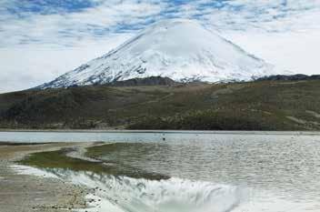 From the towering snow-capped Andes to barren coastal desert, the landscapes are unparalleled.