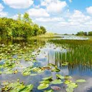 FLORIDA EVERGLADES The largest subtropical wilderness in North America, the park protects an unparalleled landscape that provides an important habitat for numerous rare and endangered species.