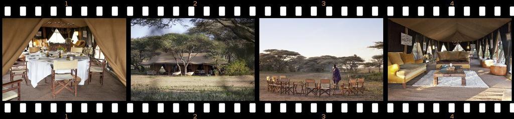 Serengeti_Alex Walker's Serian Camp The Alex Walker's Serian Camp is a traditional tented bush camp in the Serengeti plains. It moves with the Migration from south to north.
