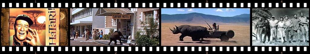 Hatari! The Movie We let Hatari! revive If you re lucky enough to have seen the classic Howard Hawks movie Hatari!