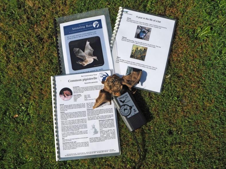 Bat Walk Use our bat detectors and information packs to seek out local bats at dusk; either around the site or down the Monsal Trail near the