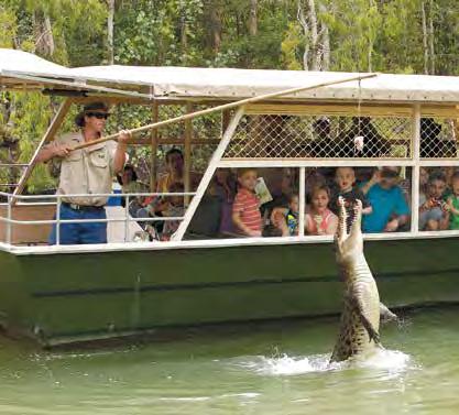 the saltwater crocodile. There is an abundance of wildlife including water birds, turtles, wallabies and cassowaries.