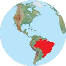 Brazil is the largest country in South America and covers nearly half of the entire continent. It is almost as large as the entire United States.
