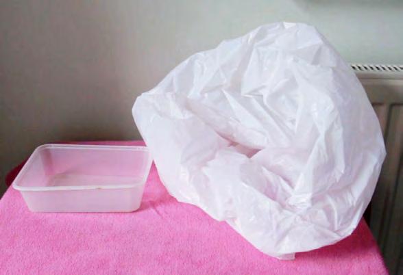 You will need a clean plastic container to catch your poo. You will need a plastic bag to throw away the rubbish after.