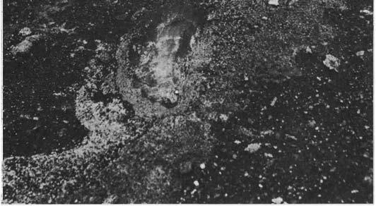 In 1924, dust and steam rose to a height of nearly 5 miles, boulders weighing up to 14 tons were thrown out of the crater, and the fire pit was enlarged from 1,400 feet in diameter to almost twice