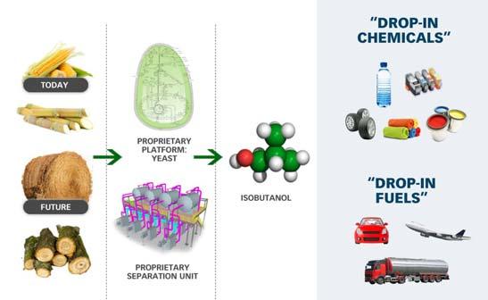 Step towards securing alternative raw material supply Production process Gevo Development of a fermentation process to produce isobutanol organically (sugars in biomass) Intention to use technical