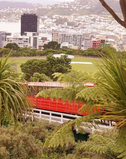 Wellington Day 19 Today you are free to explore this wonderful cosmopolitan city from your harborside hotel. Return to Te Papa to finish your exploration or one of the city s many museums.