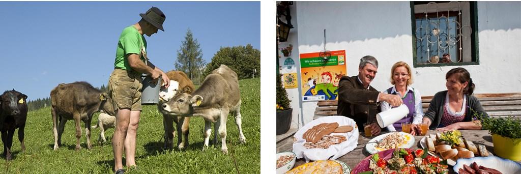 There is also a group of about a dozen hotels called "Ramsau Bioniere" (The Ramsau Bioneers) that have pioneered the sustainable tourism and offer "100% organic holidays".