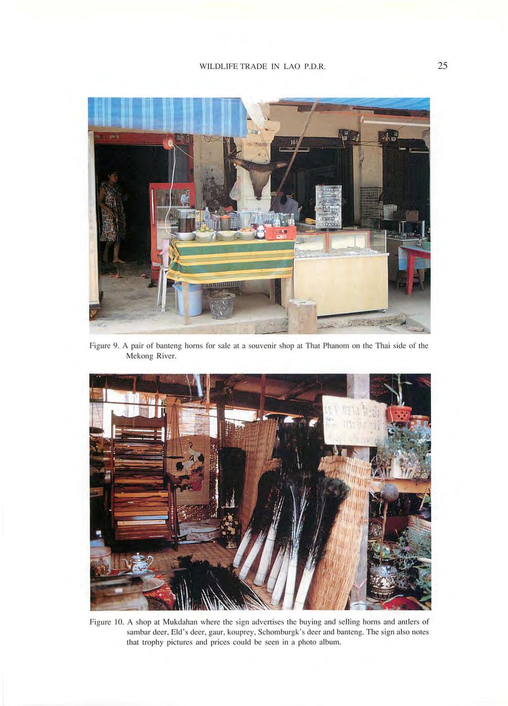 WILDLIFE TRADE IN LAO P.D.R. 25 Figure 9. A pair of banteng horn s for sale at a souvenir shop at That Phanom on the Thai side of' the Mekong Ri ver. Figure 10.