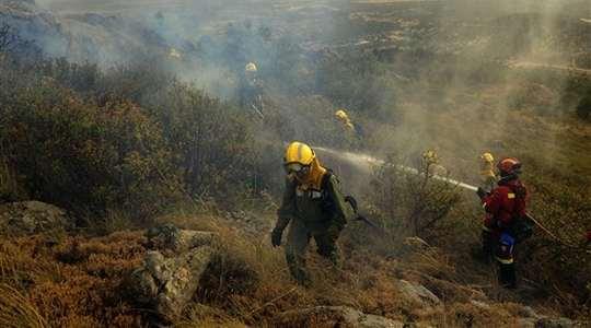 Požari među najvažnijim uzrocima degradacije zemljišta u brdskim područjima Sredozemlja vrlo česti na područjima u kojima dominiraju borove šume osobito su intenzivni posljednjih desetljeća jačanje