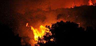 površine područja pogođenih požarima u velikom su porastu šumske površine u Grčkoj pokrivaju oko 8 200 000 ha a