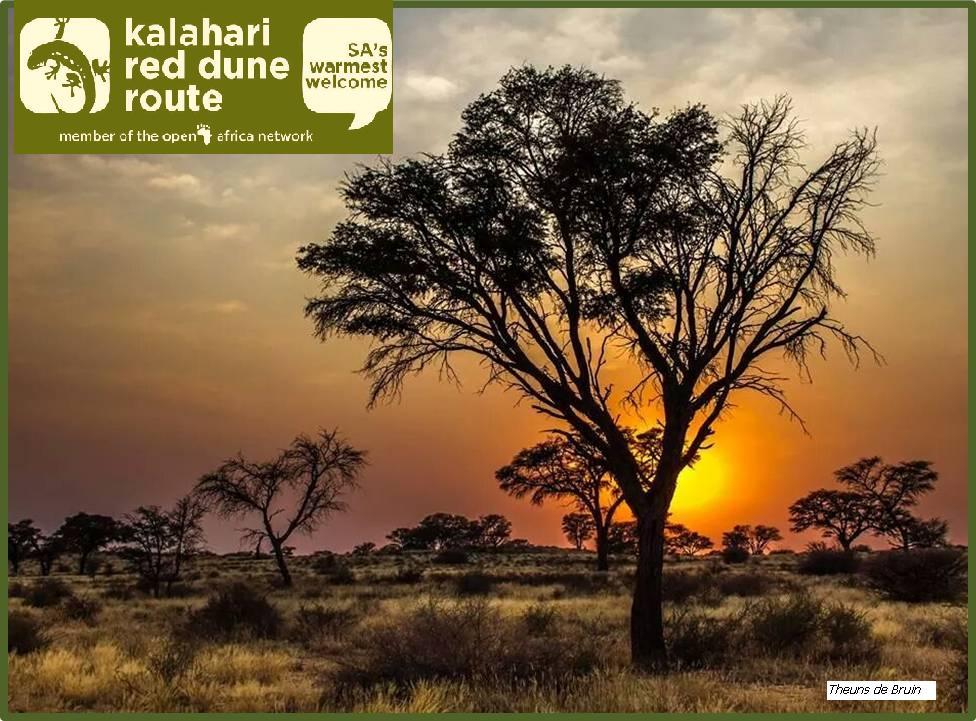 Kalahari Red Dune Route Experience Packages